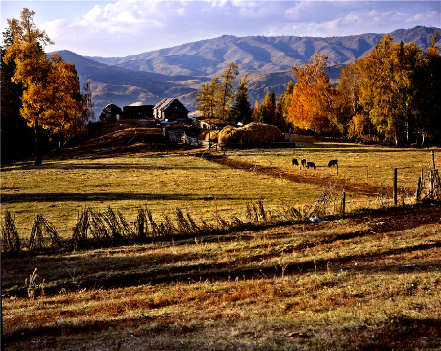 白哈巴村.jpg