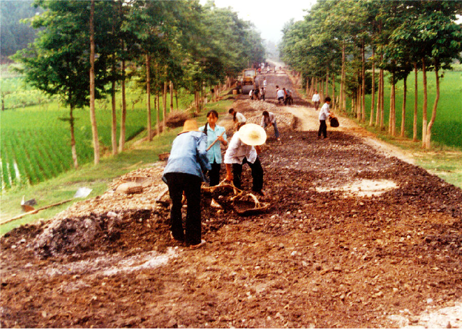 173.jpg