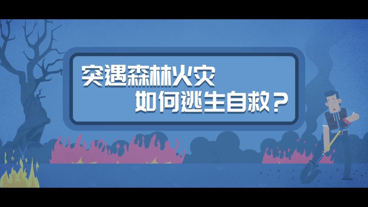 突遇森林火灾如何逃生自救视频